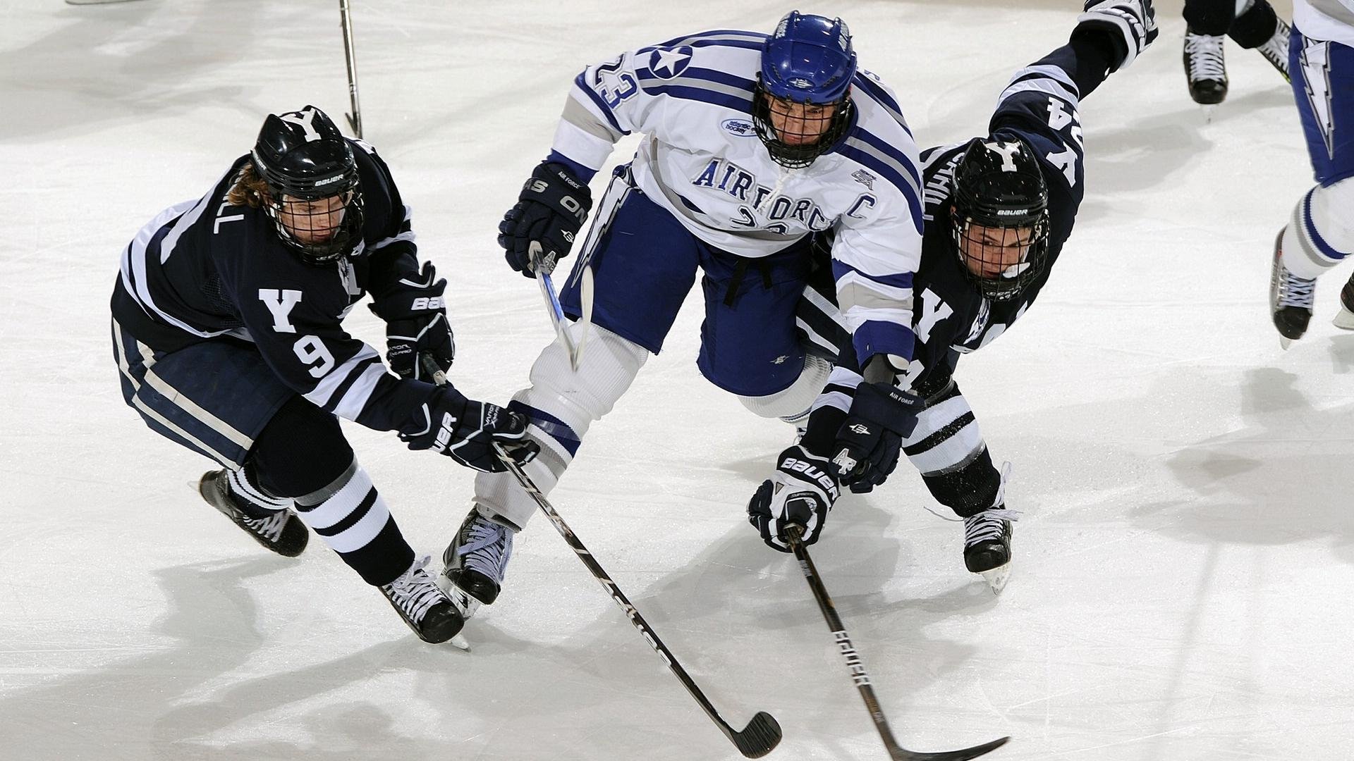 KAIYUN 中国大陆-克罗地亚马术协会设立“Sinjska Alka”奖学金，支持传统马术研究。